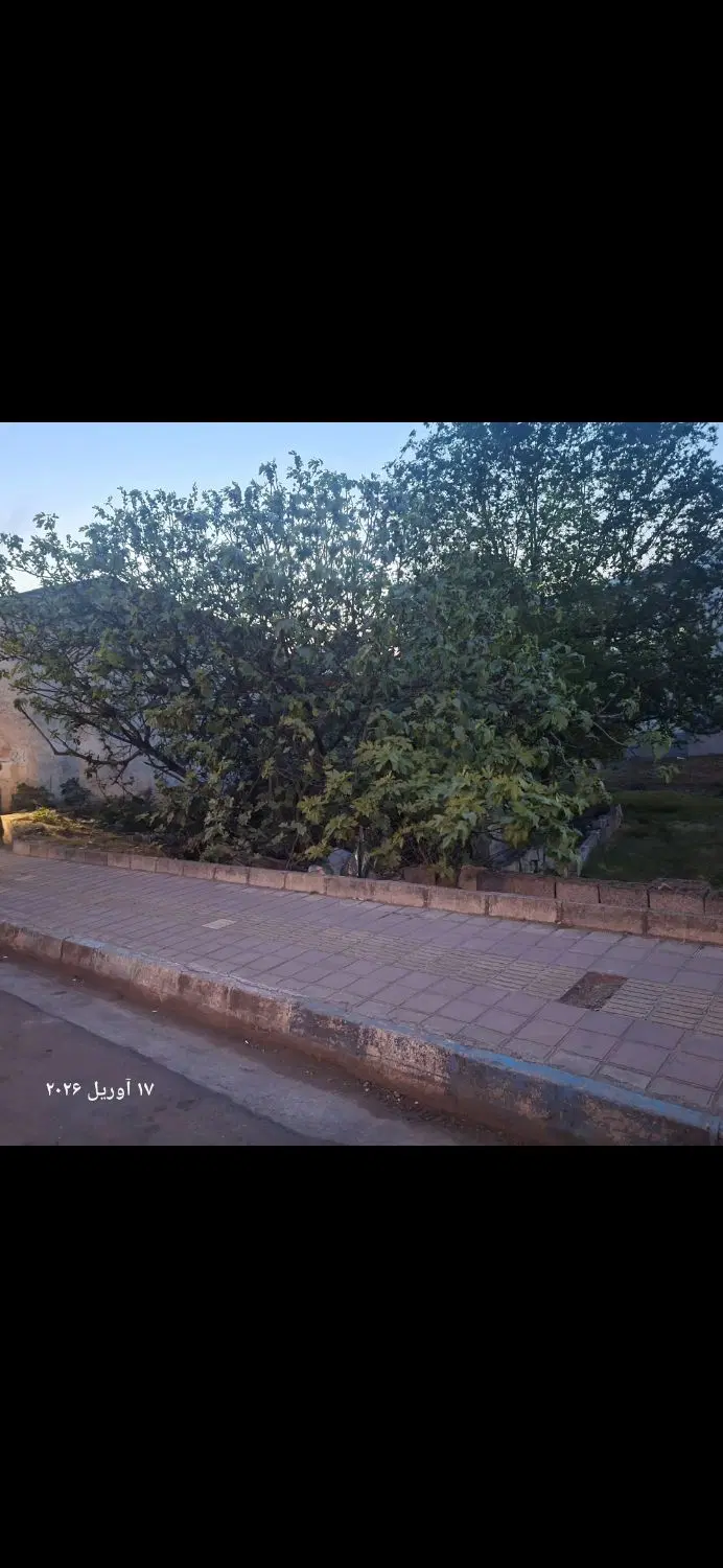 زمین تجاری مسکونی یخ سازی سند دار فروش فوری