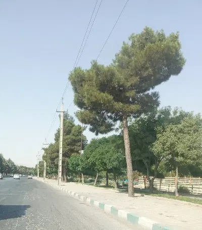 مغازه شهرک ظفر