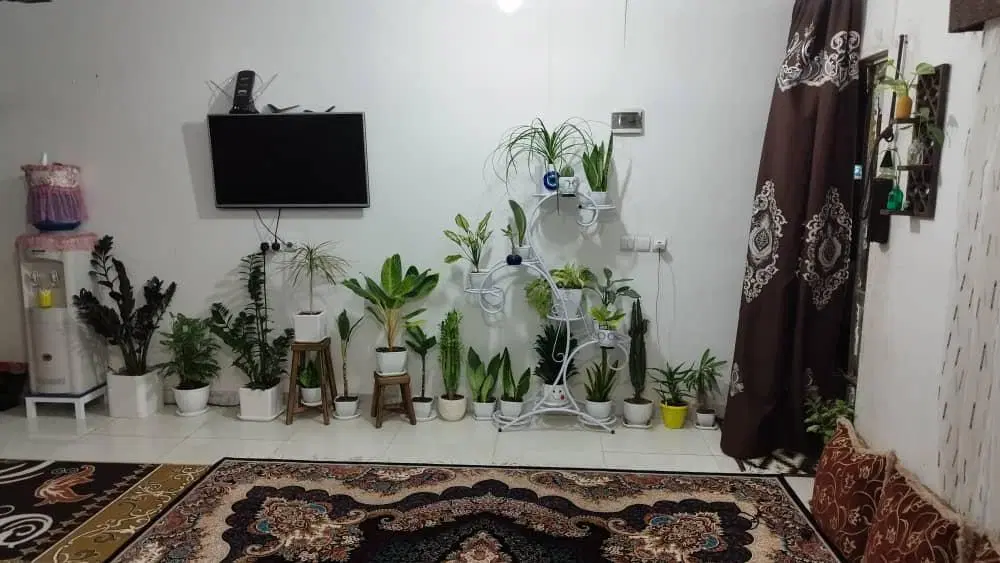 خانه اجاره شیر اول