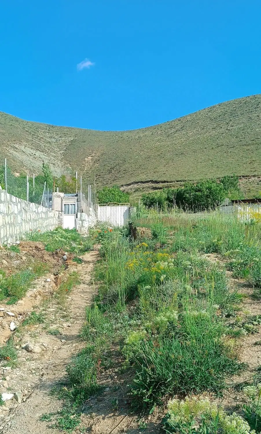 ۲۶۵ متر روستای واصفجان