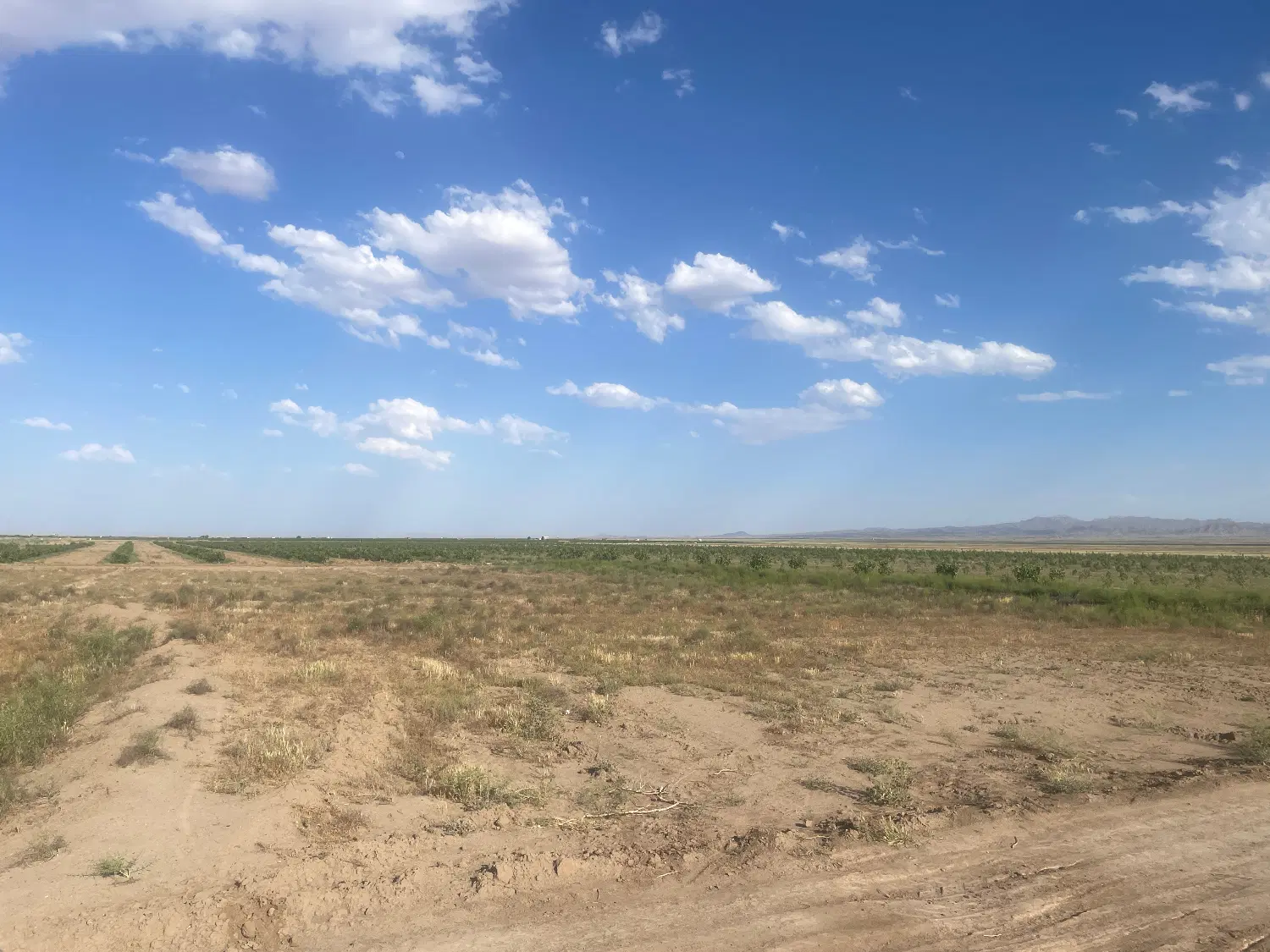 زمین تجاری صنعتی ابارش