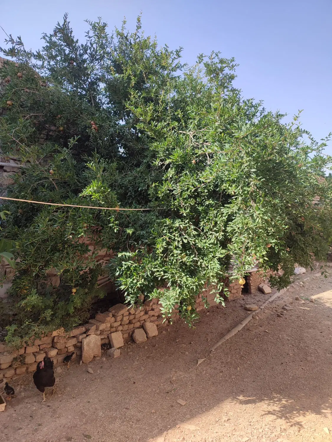 خانه دوطبقه