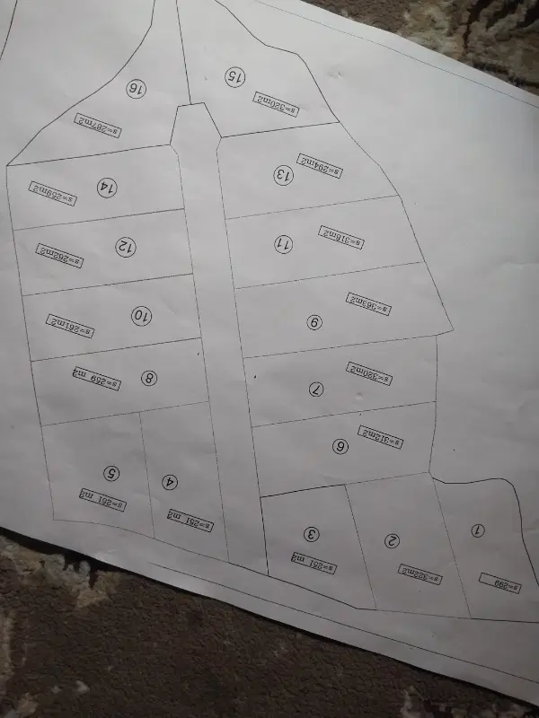 زمین شالی داخل طرح برخیابان آسفالت روستایی