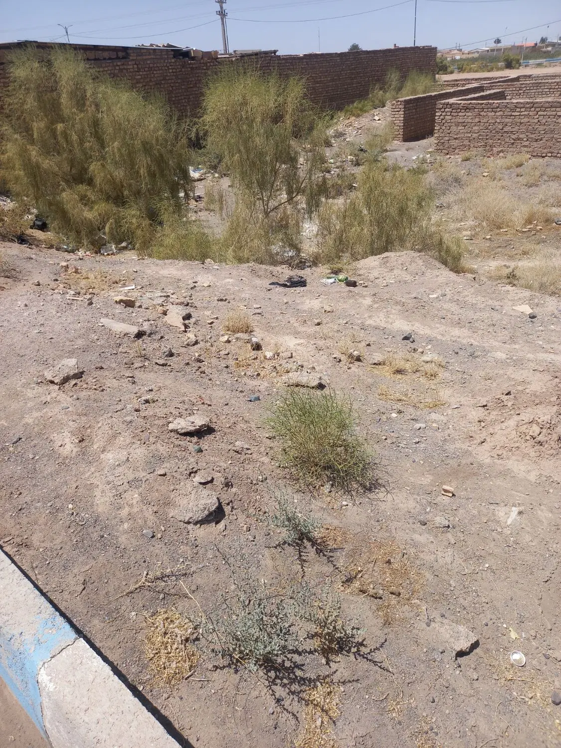 فروش زمین