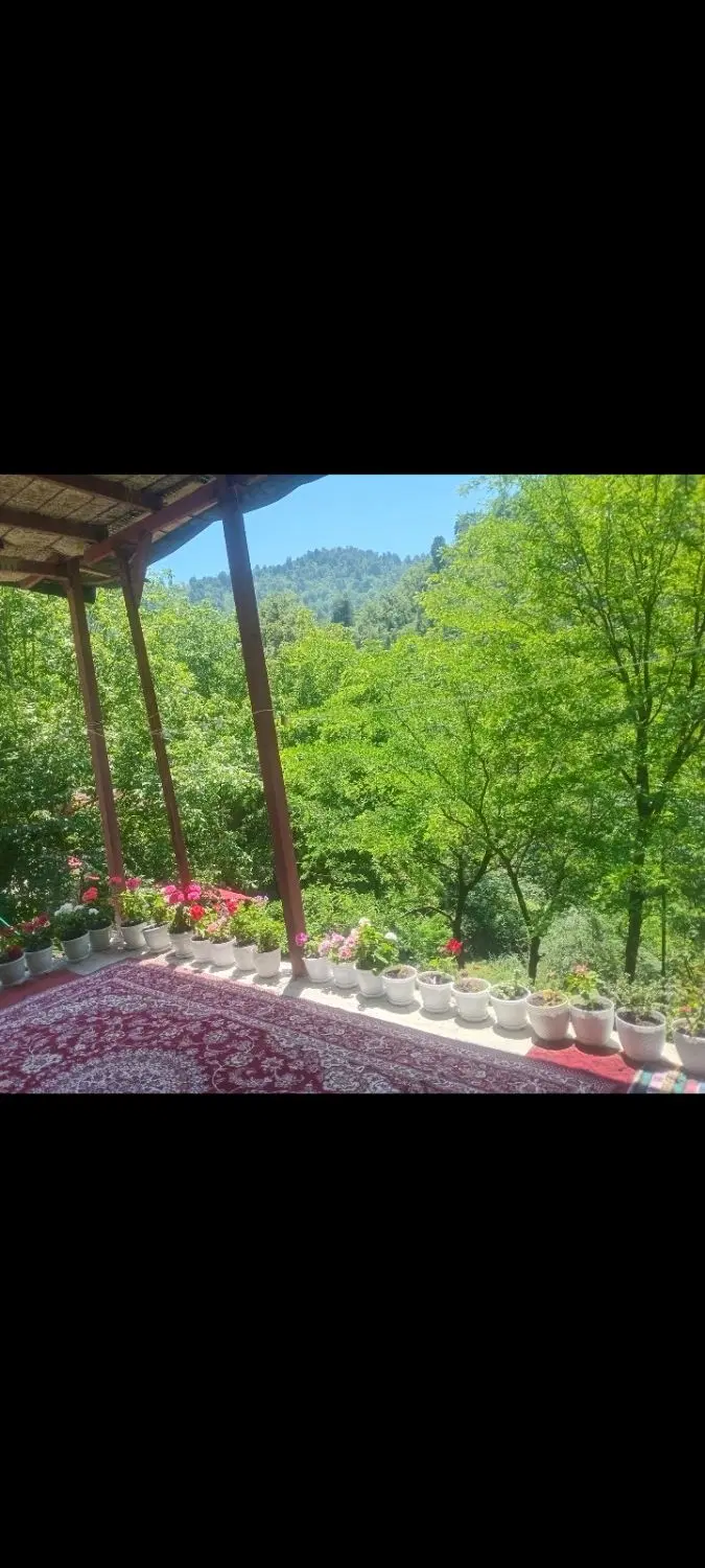 ویلا جنگلی