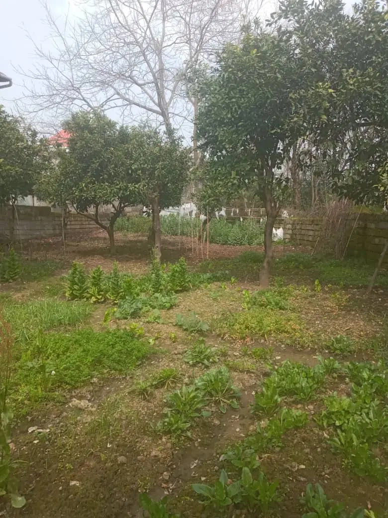 فروش زمین