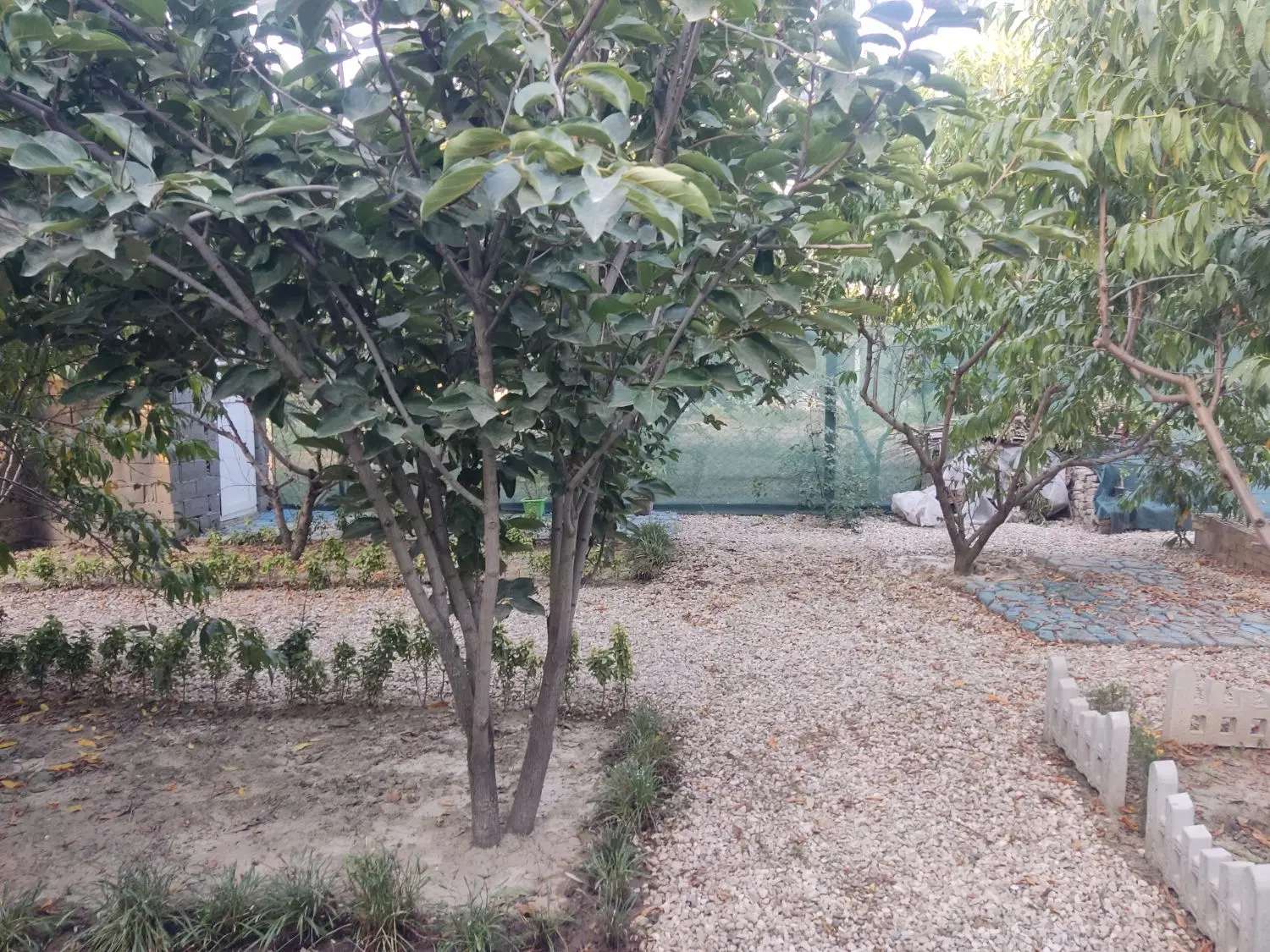 باغ امکانات دار بر خیابان اصلی شموشک