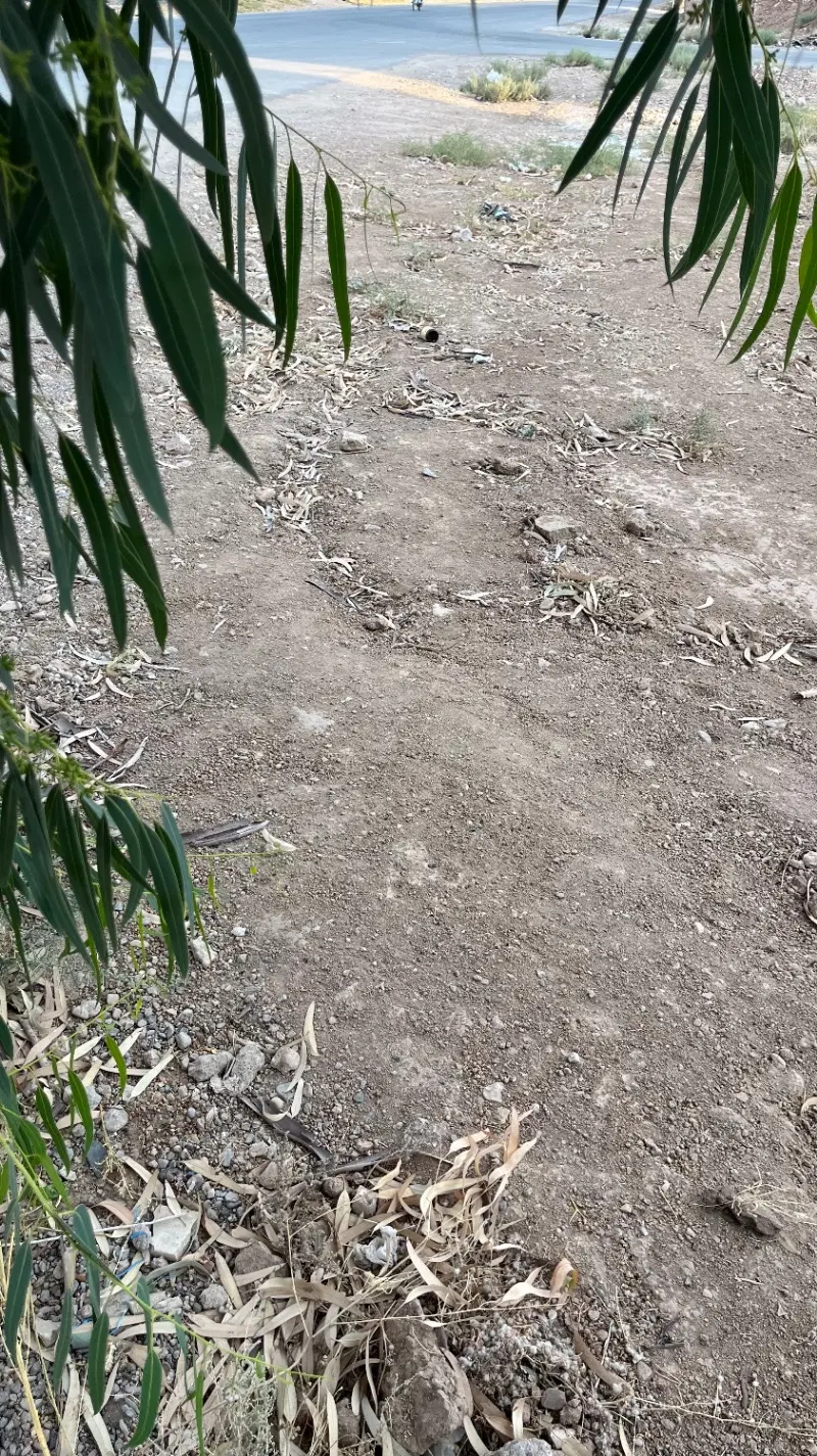 زمین تجاری مسکونی دو نبش شمالی