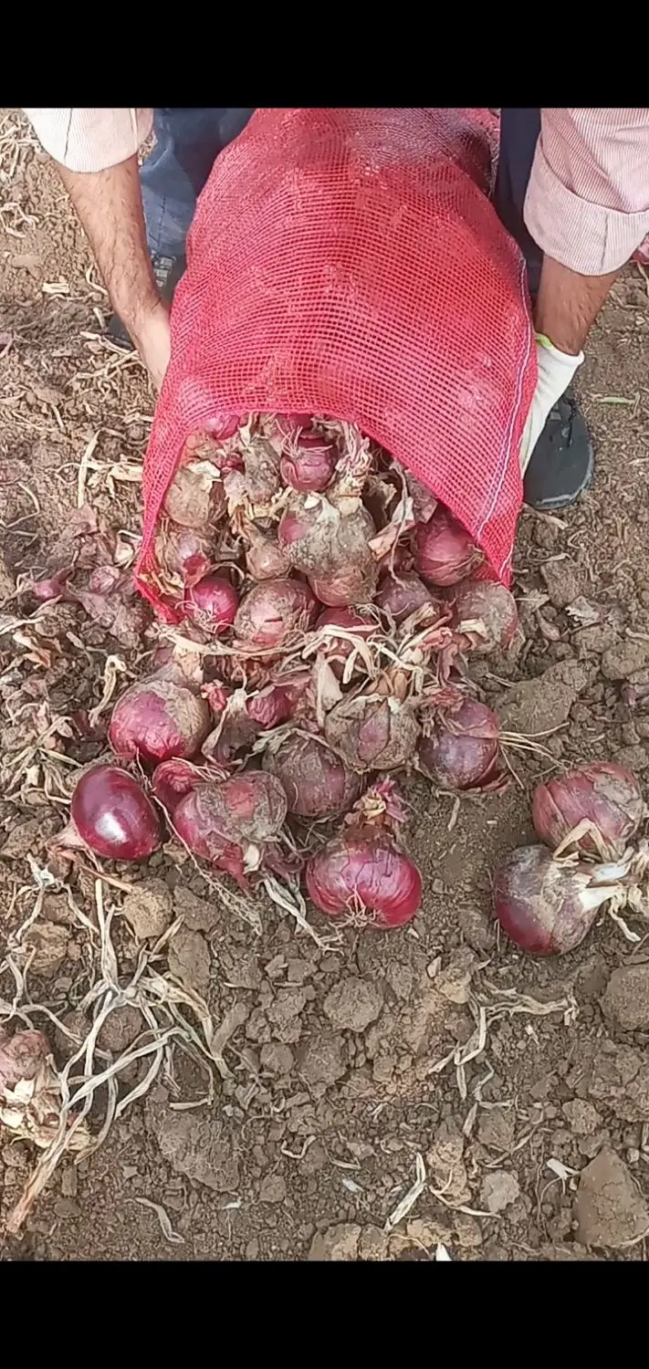 دنبال زمین کشاورزی