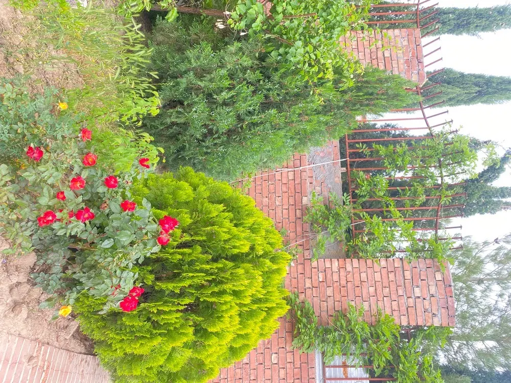چهارده قصب زمین دهکده باران فاز اول
