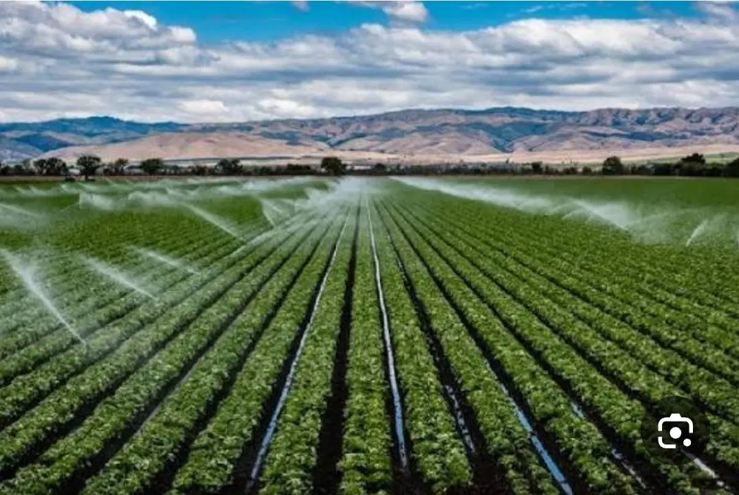 دعوت به سرمایه گذاری در طرح تولیدی