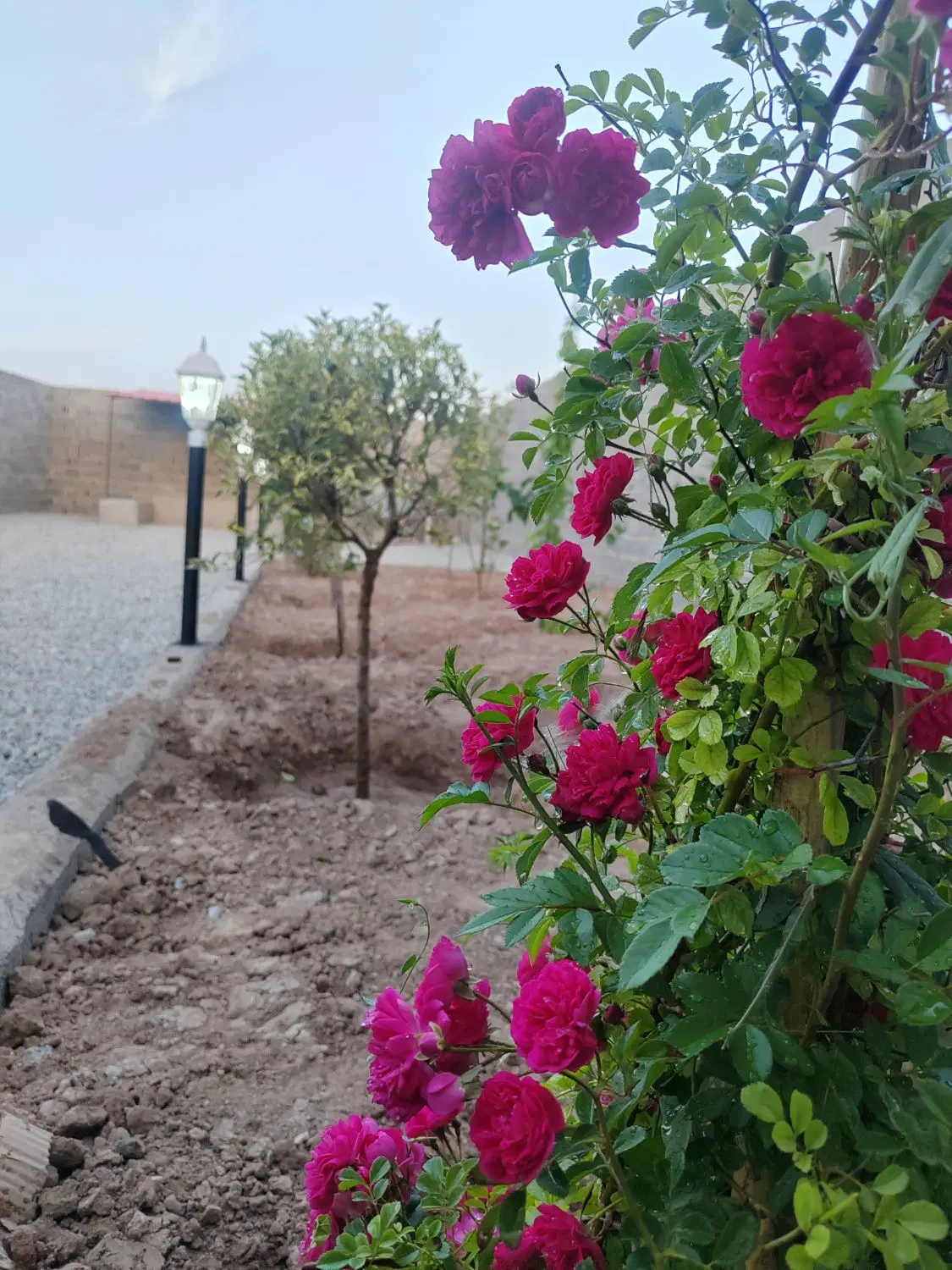 باغچه چهاردیواری با اب و برق