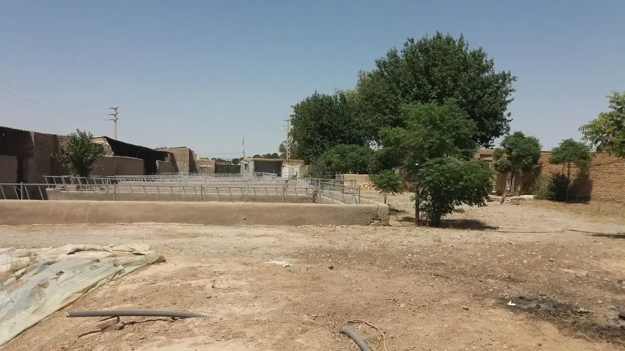 فروش دامداری پرواری سند ۶ دانگ