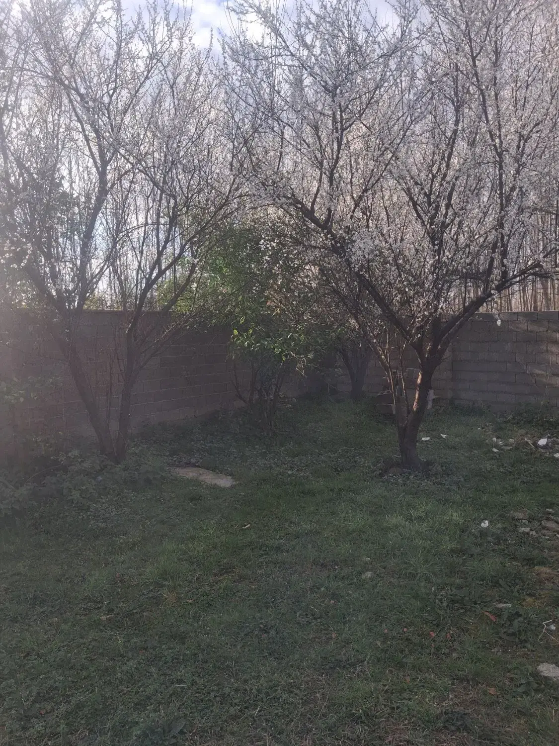 فروش خانه ویلایی