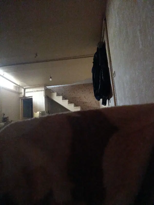 نیازمنده همخونه