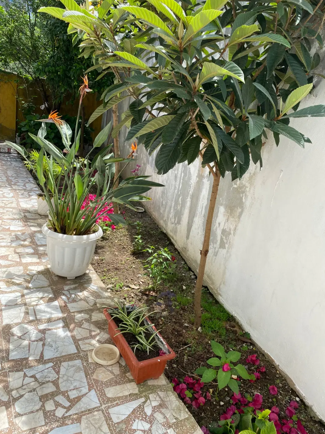سوییت خانواده