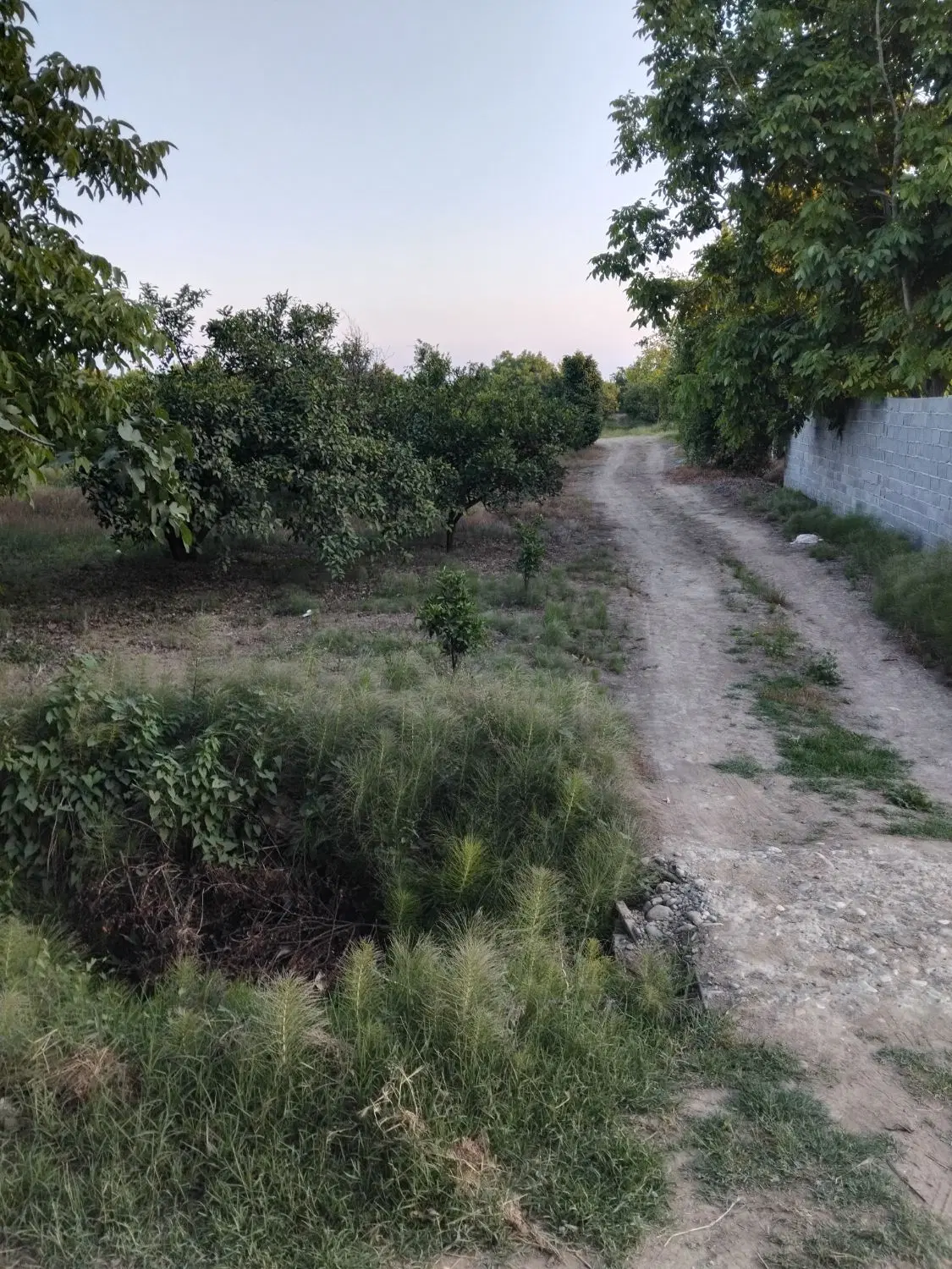 فروش زمین خانه سرا