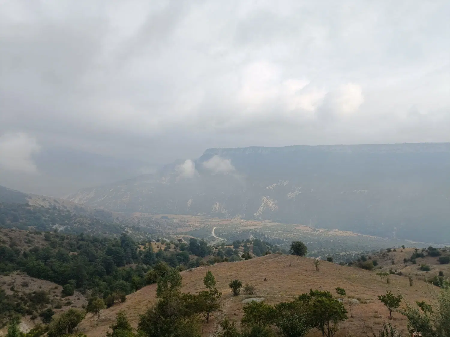 زمین مسکونی