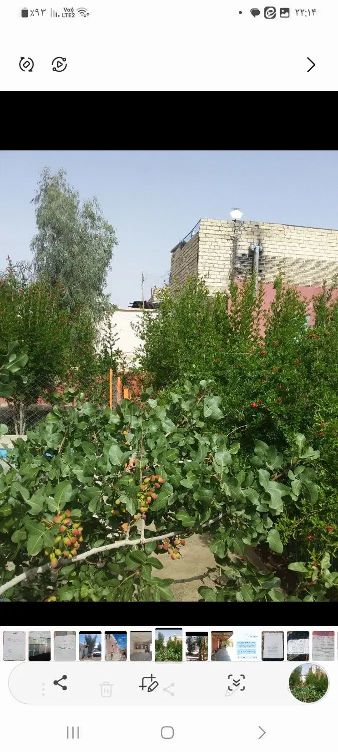 خانه  باغ دشت دولت آباد