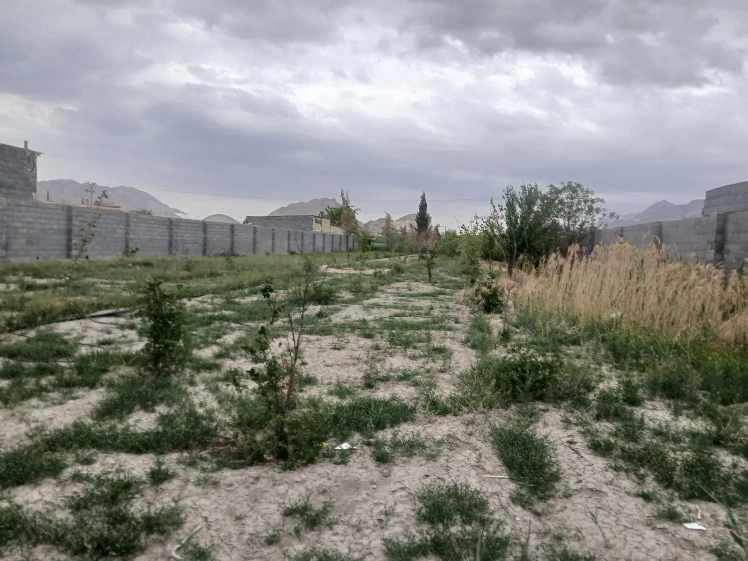 چهار دیوار (باغ) در کرسگان شخصی