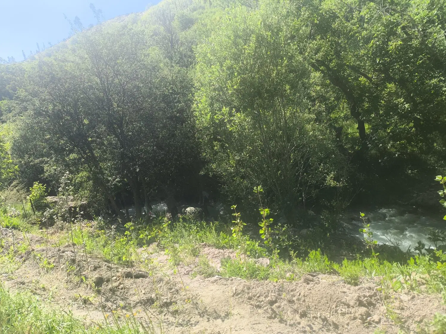 خانه ویلایی خیابان معلم