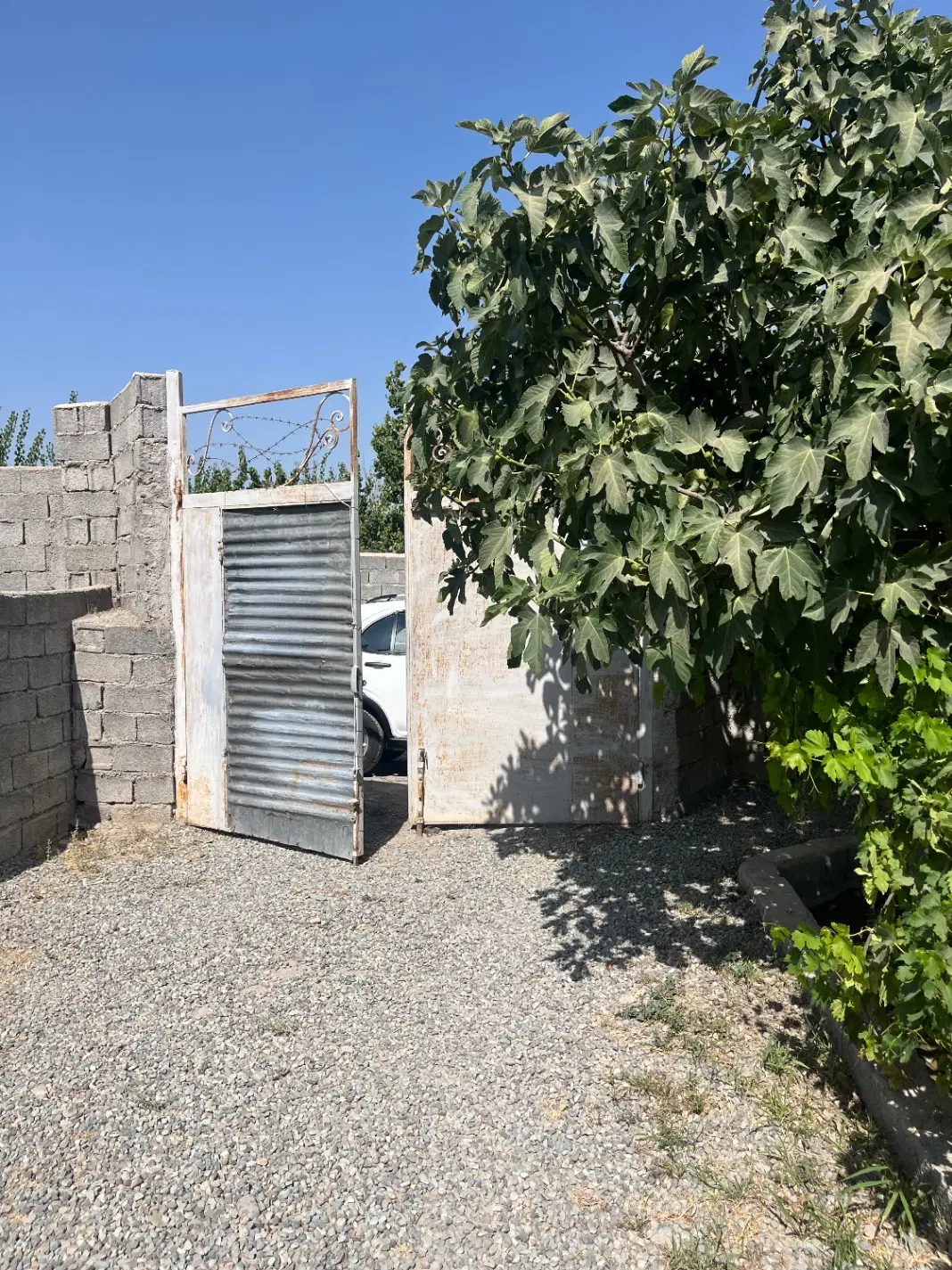 باغ 1000متری چهار دیواری  در کمربندی وحیدیه