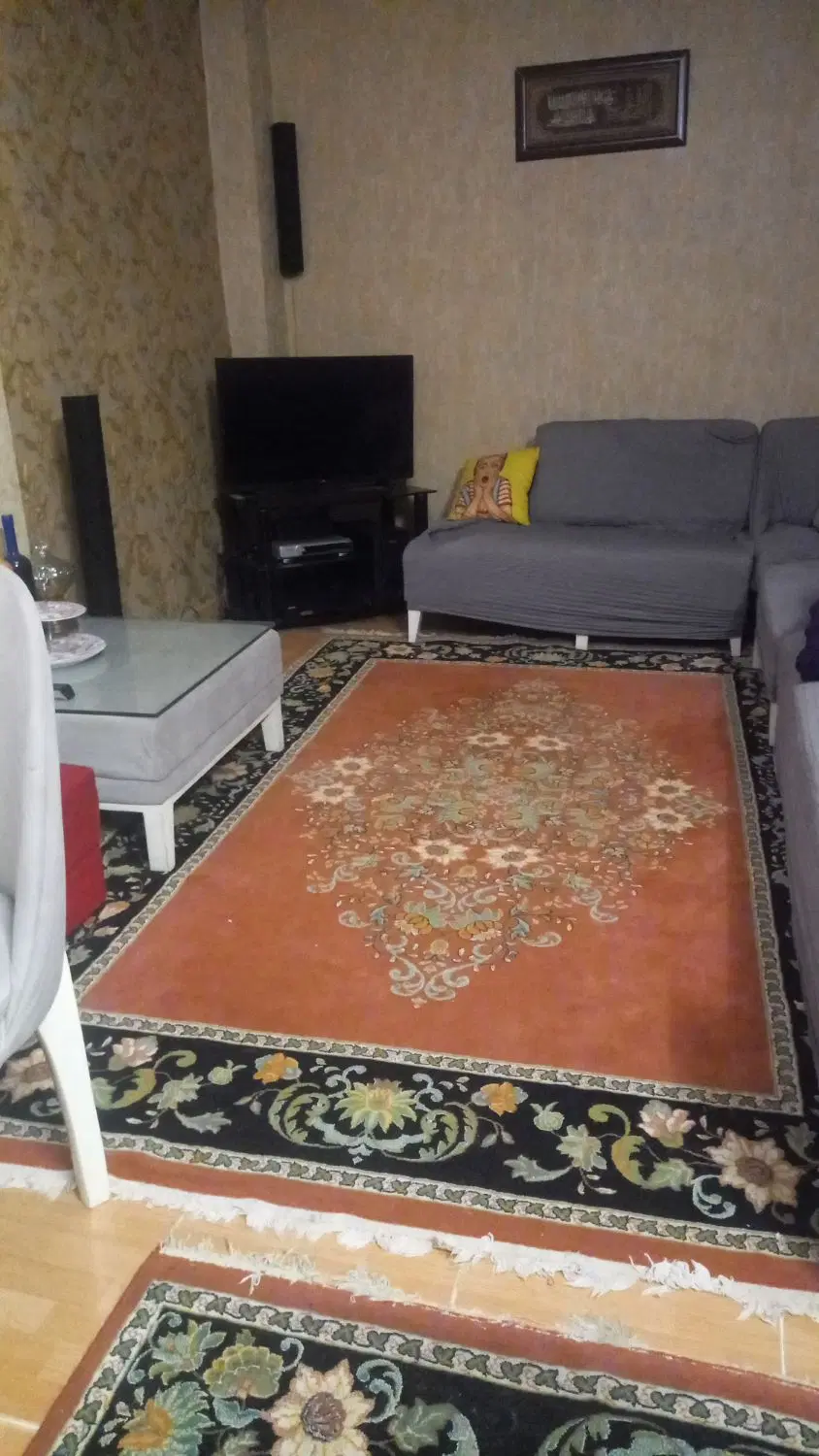 همخونه خانم