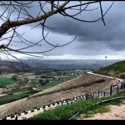 23 هزار متر باغ شیخ میری کلهر بر اصلی