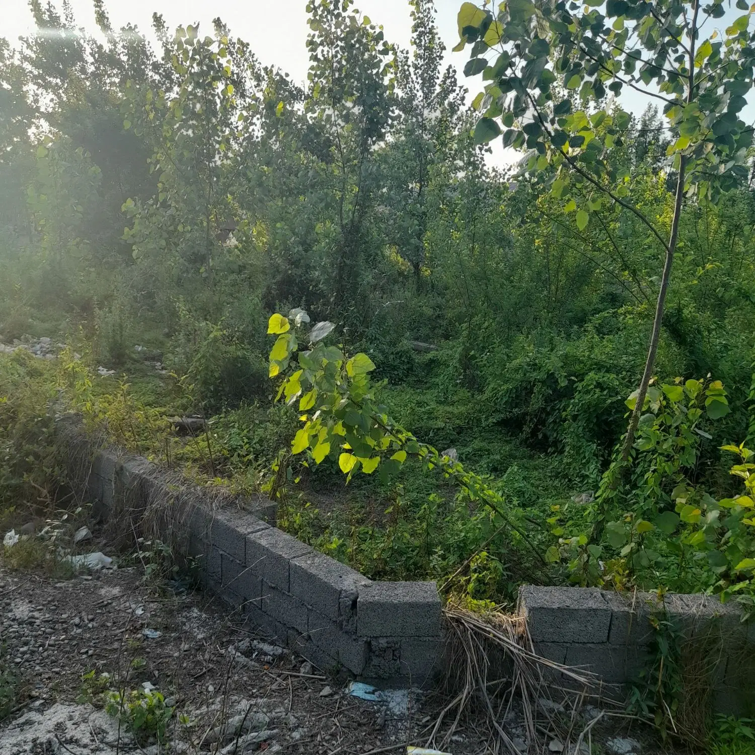 زمین با کاربری مسکونی