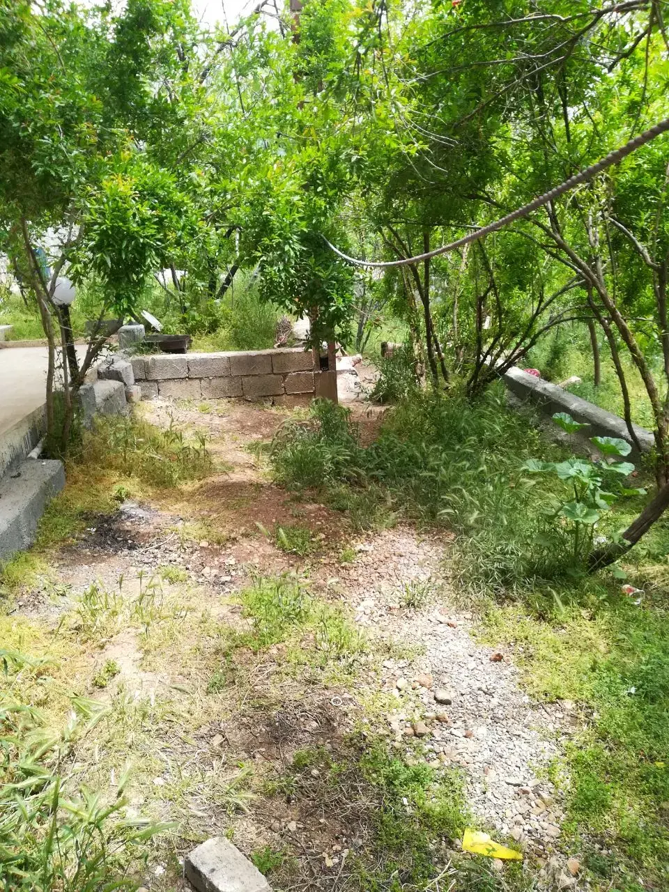 ویلا وباغدر پاوه روستای خانقاه