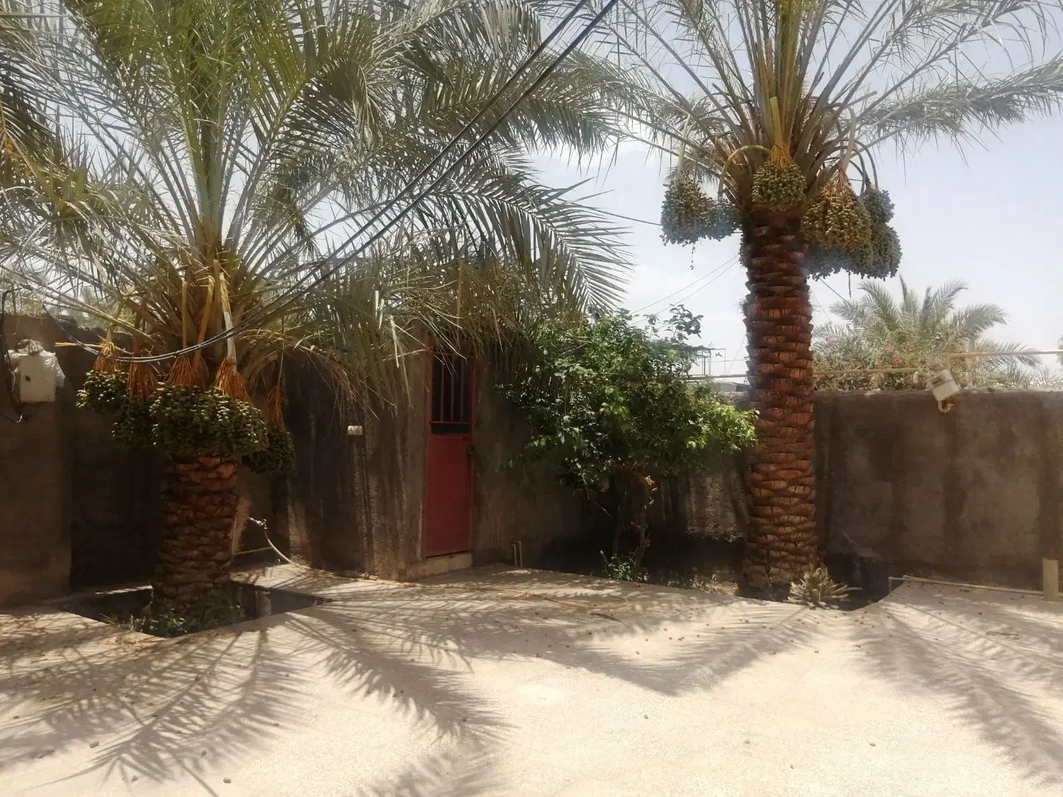 خونا باغ