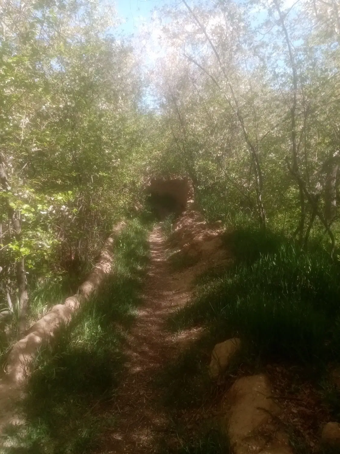 195متر باغ نصرآباد