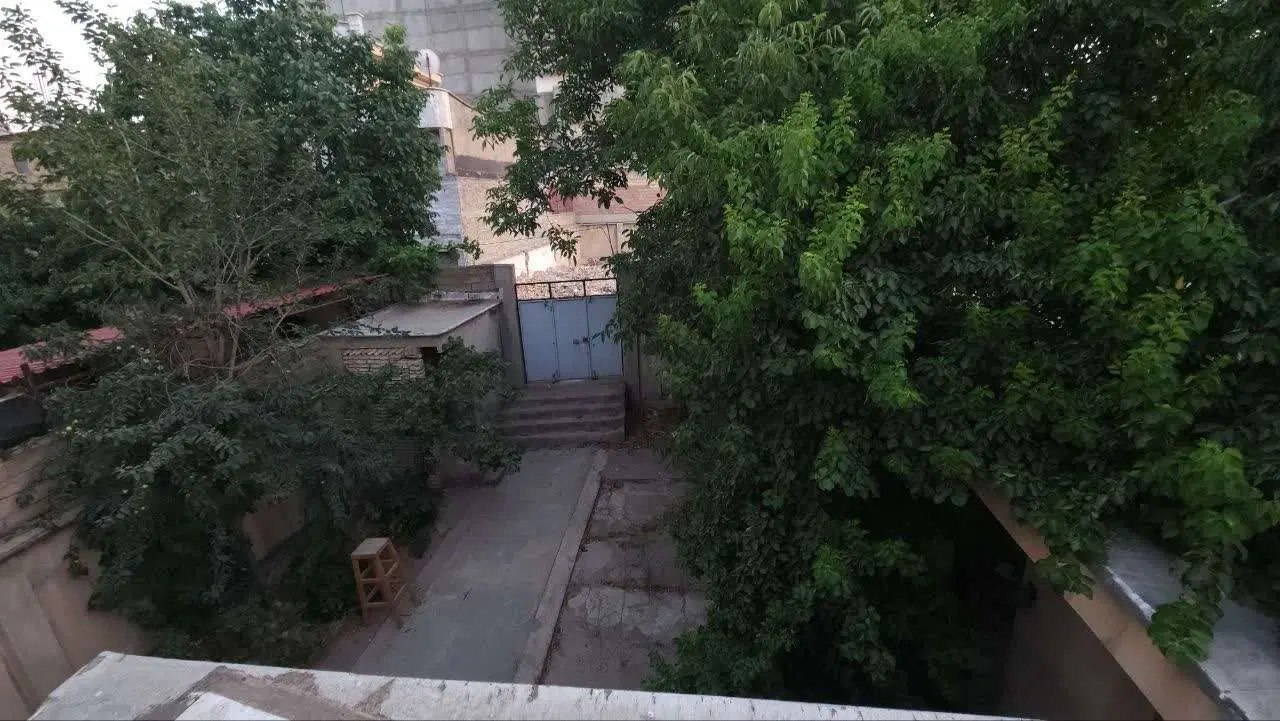 ۲۶۲