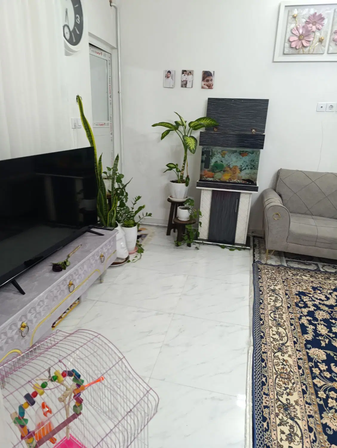 یه آپارتمان نوقلی نوساز