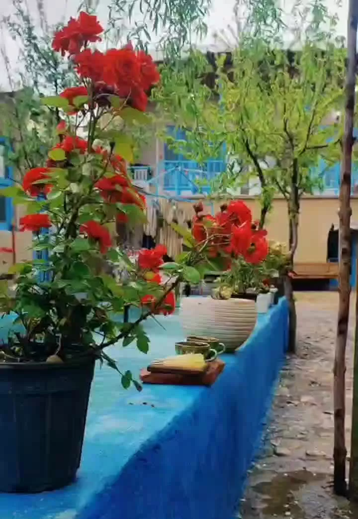 اجاره اتاق در اقامتگاه بوم‌گردی کوگ تاراز