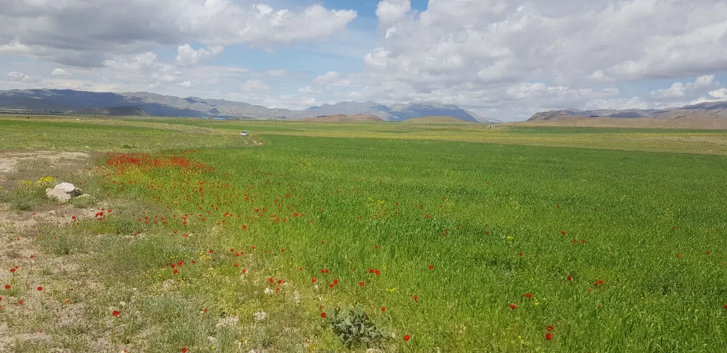 فروش زمین مسکونی