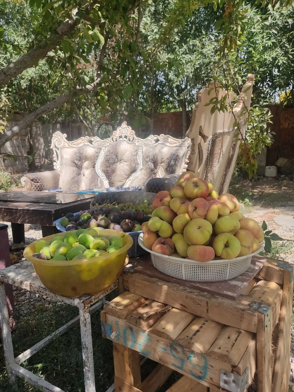 سلام عرض ادب