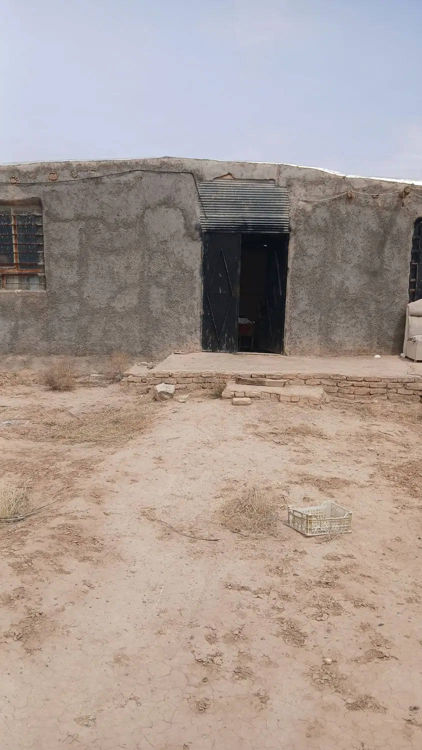 دامداری زمین