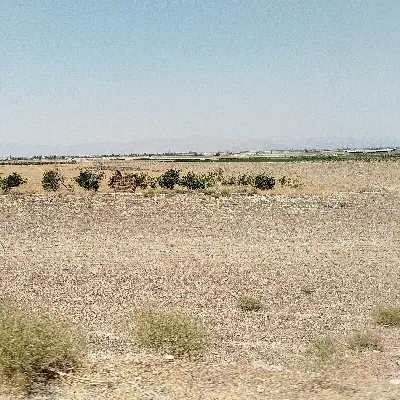 زمین مسکونی کشاورزی