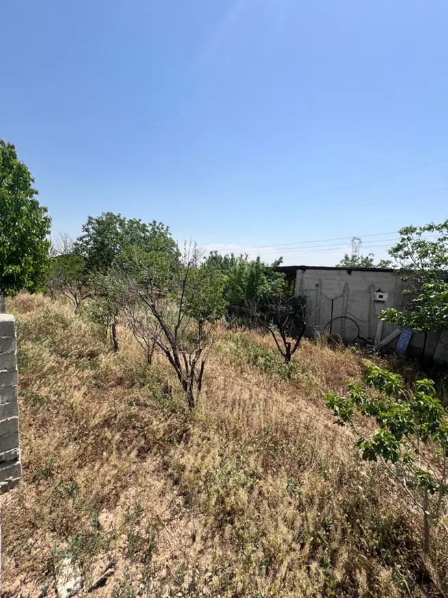 باغچه ۳۲۵مترچهاردیوار ابراهیم بیگ نظراباد۹۵۰تومن