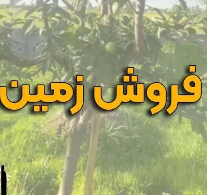 یک قطعه زمین فروش فوری
