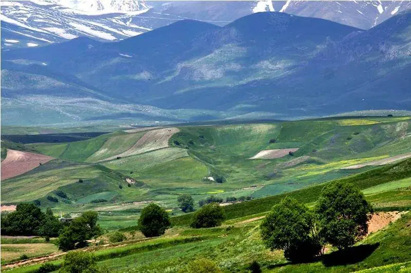 زمین قردادی  پلاک 85