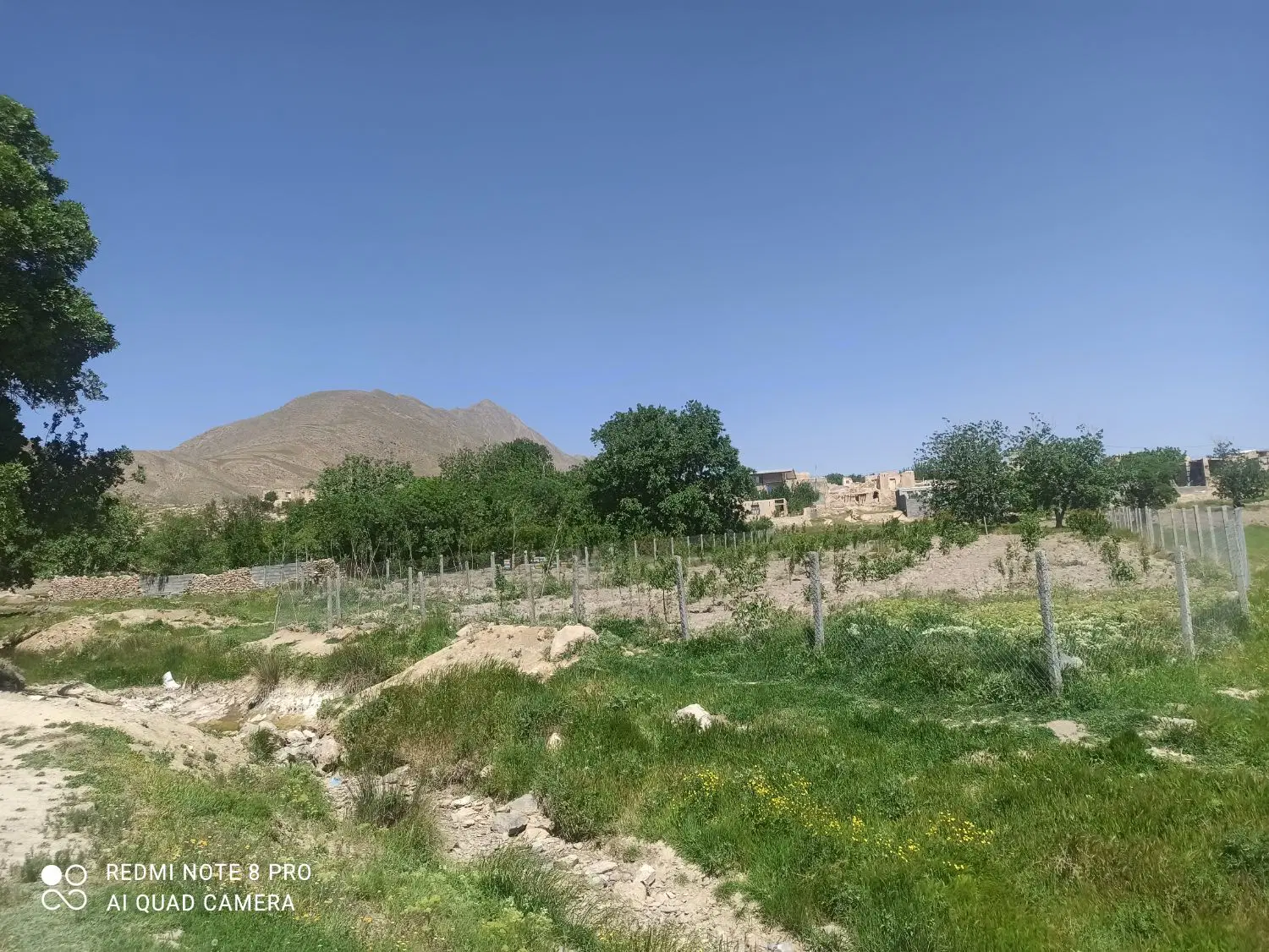 1000 متر زمین باغی با سند