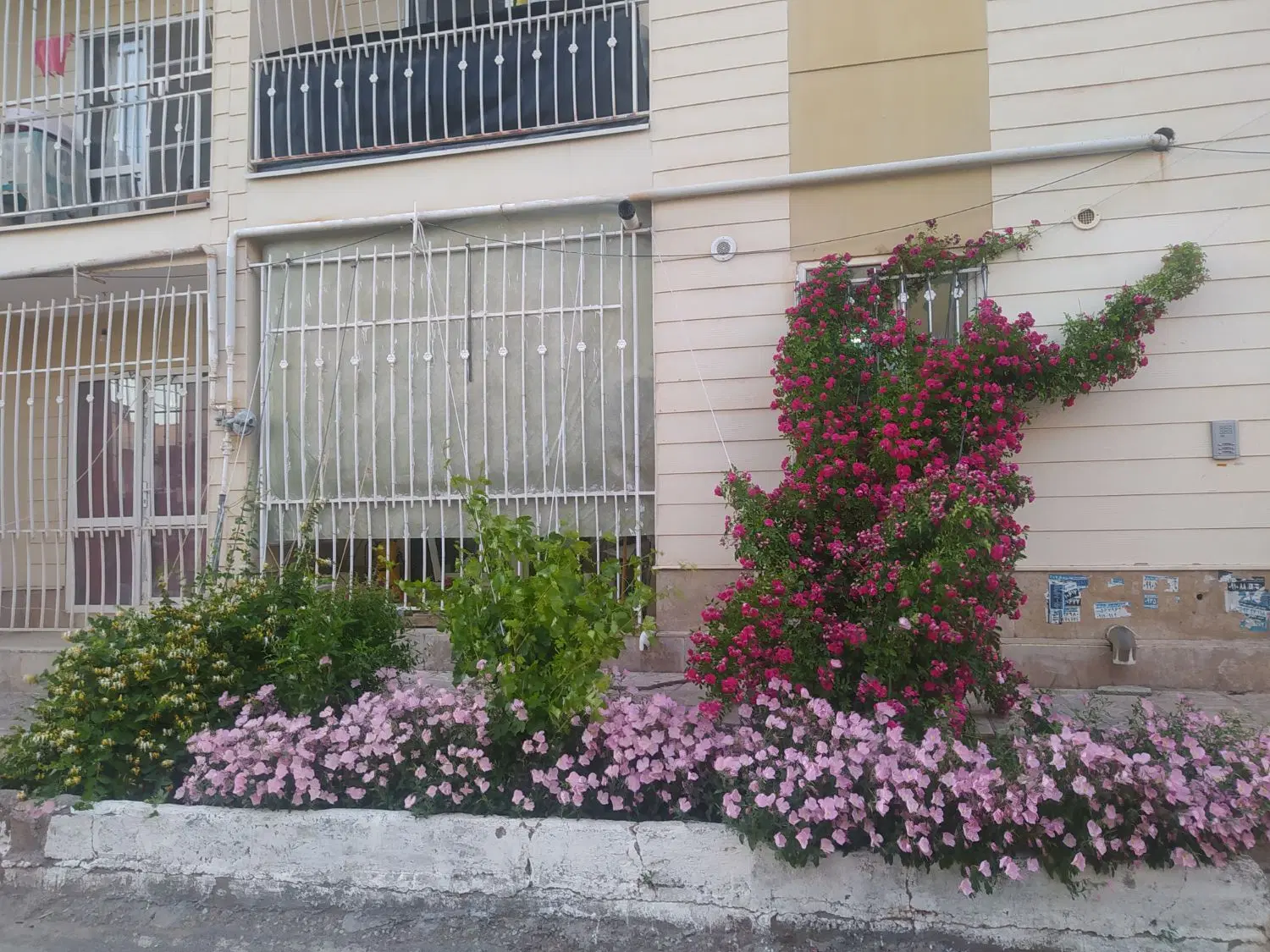 مپسا5   86متری