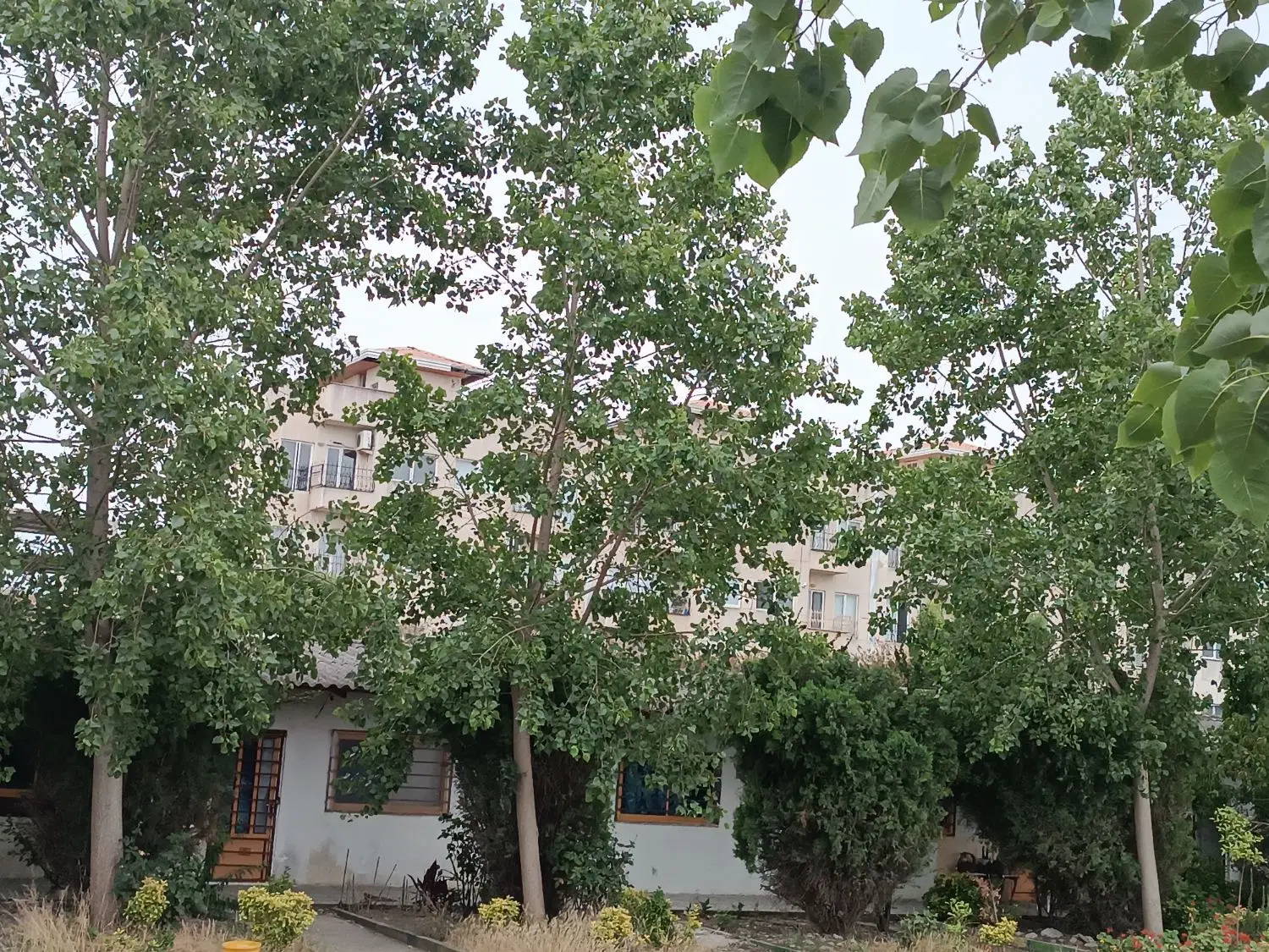 اجاره روزانه ویلا