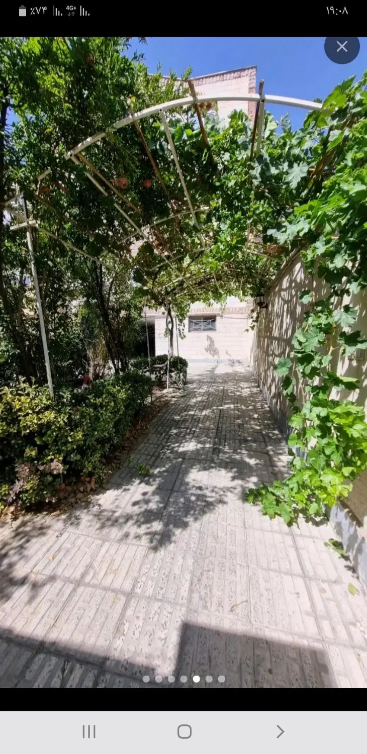 ۹۲ متری نزدیک شاخه