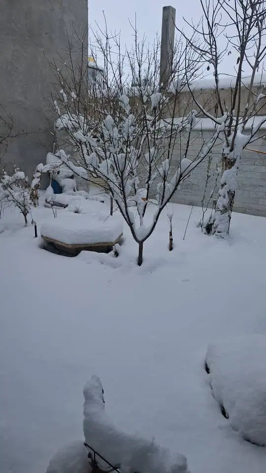 مسکن مهر محله ۴۰