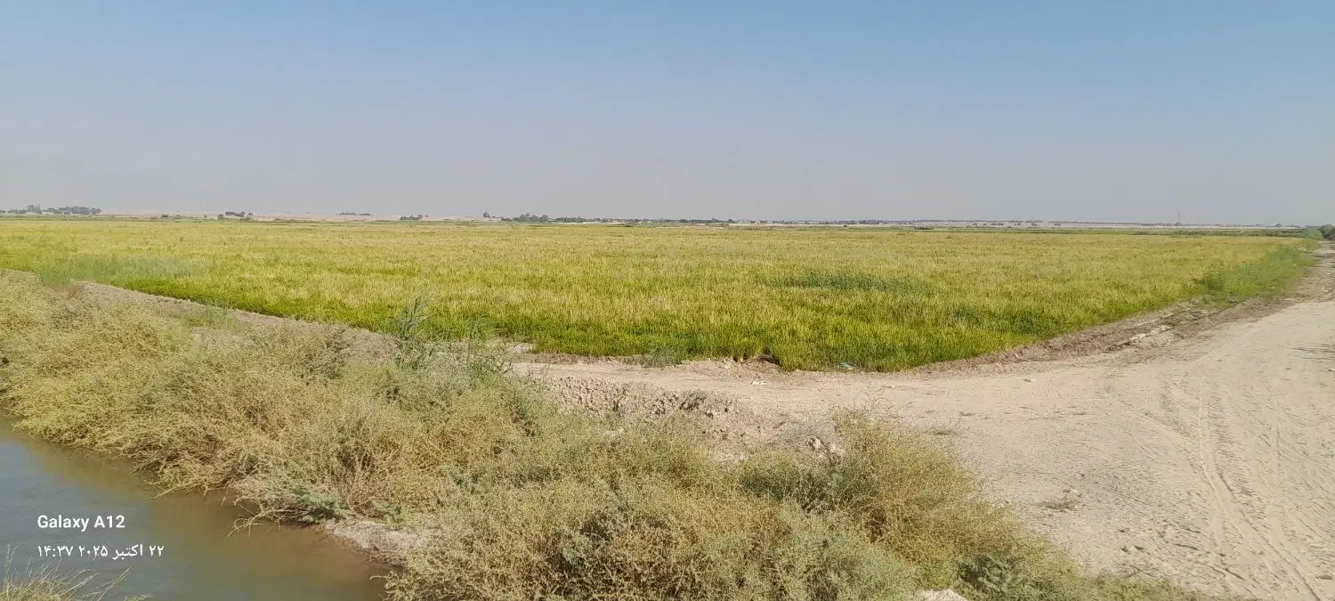 فروش زمین