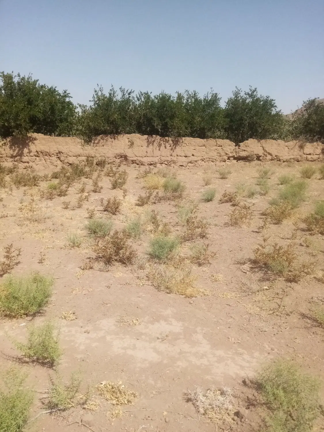 فروش زمین