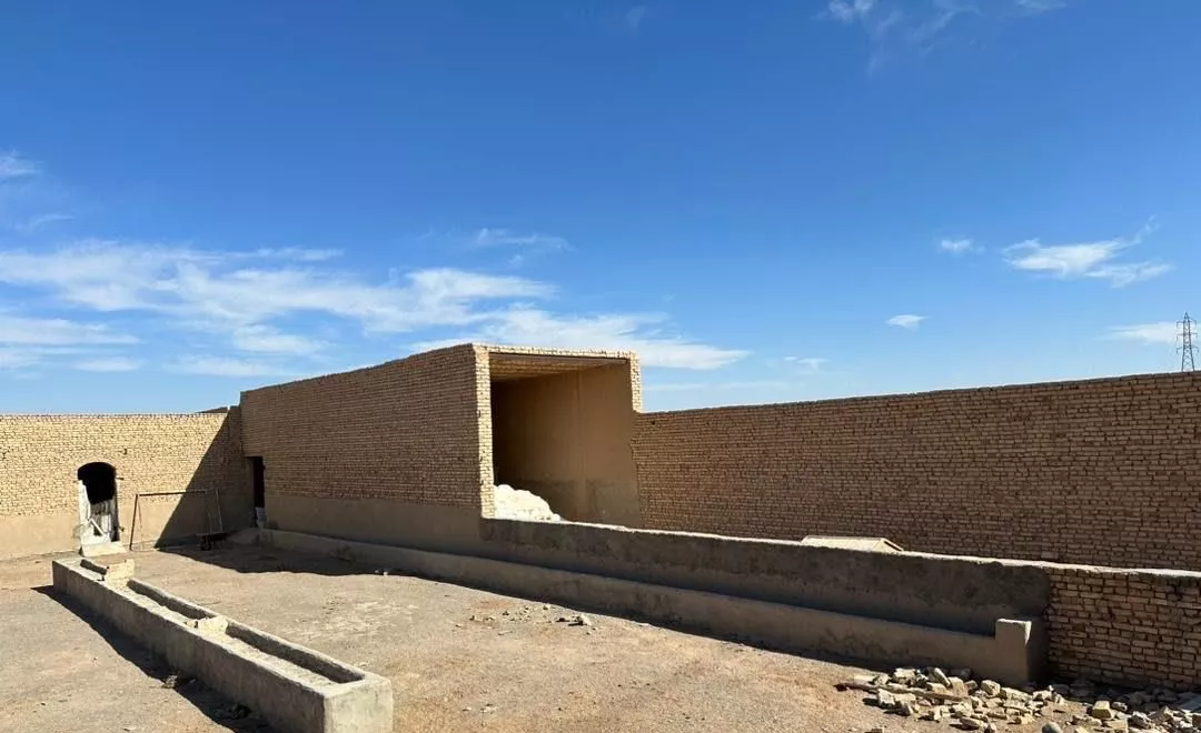 دامپروری